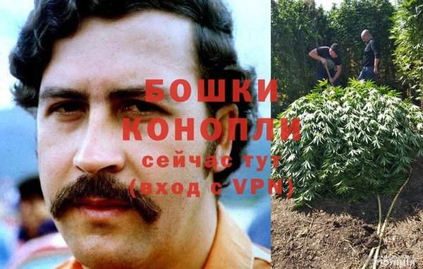 мяу мяу мука Верхний Тагил